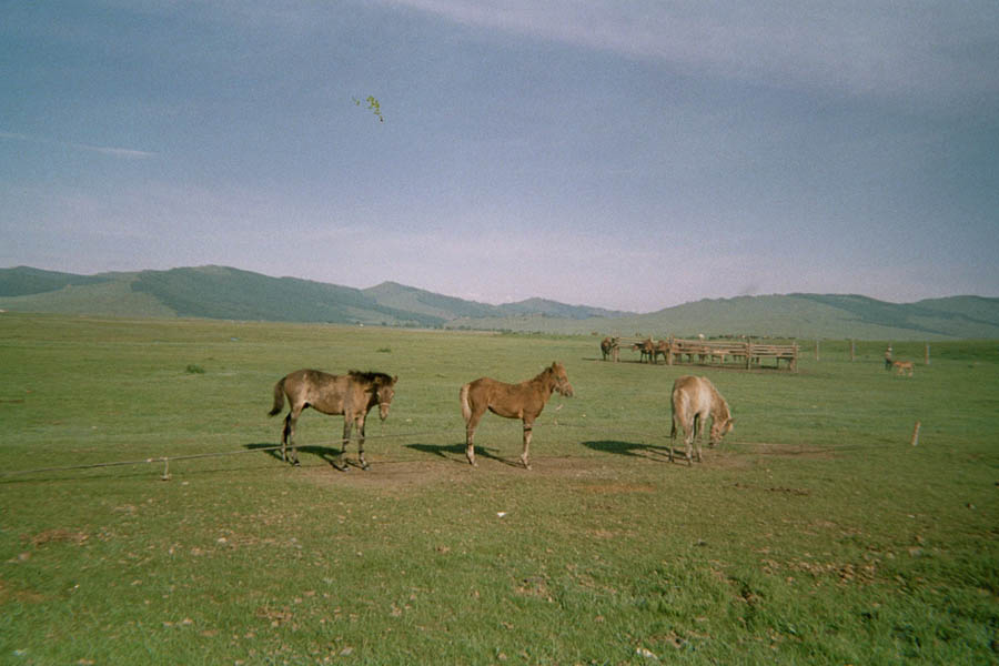 Returned photo 30