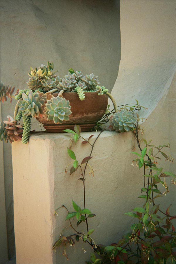 Returned photo 1