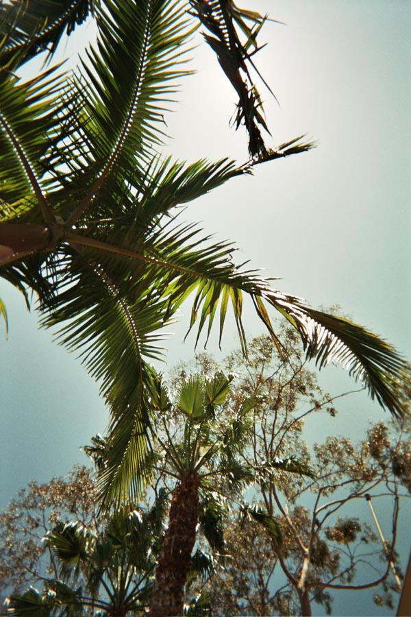 Returned photo 20