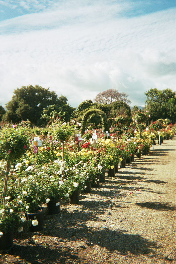 Returned photo 3