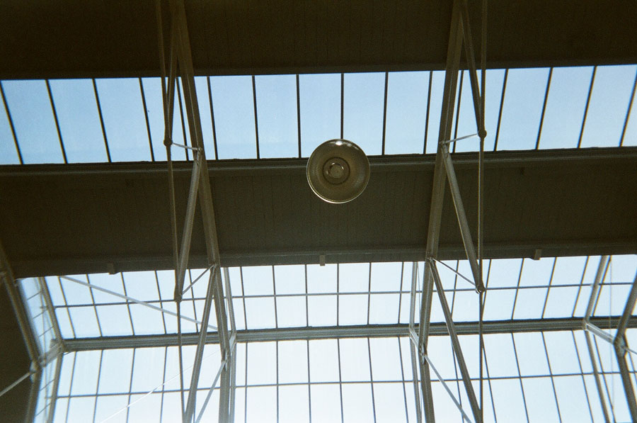 Returned photo 20