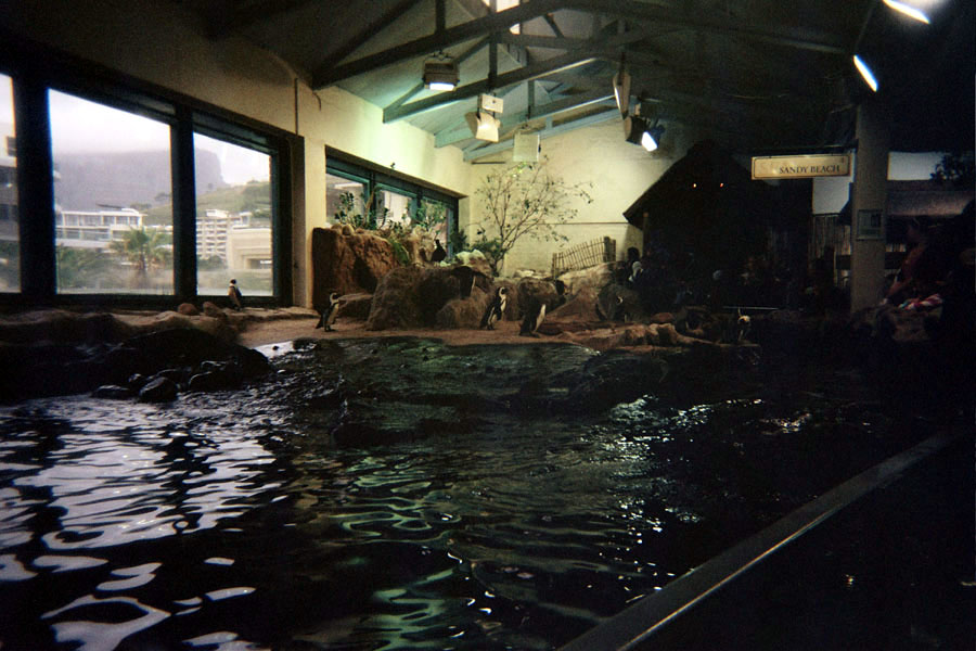 Returned photo 10