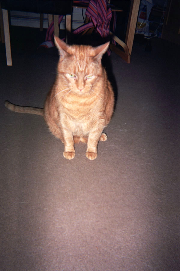 Returned photo 23