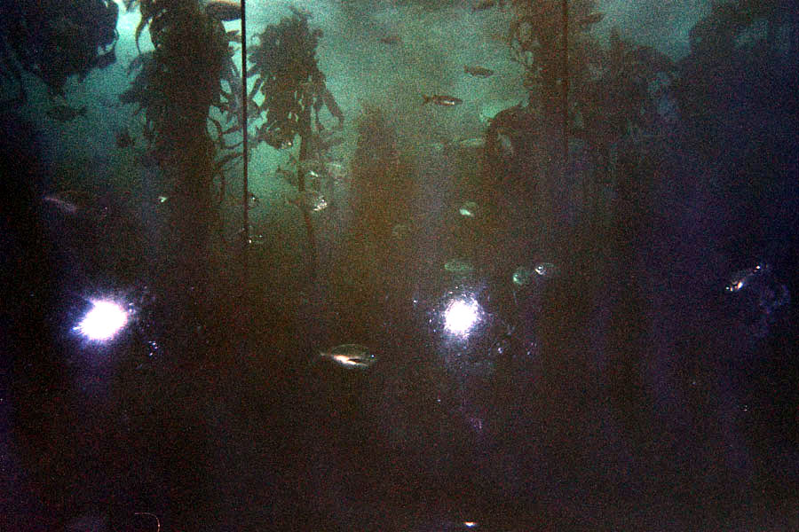 Returned photo 7