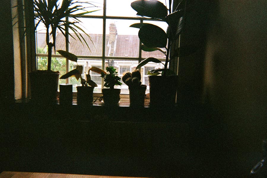 Returned photo 1