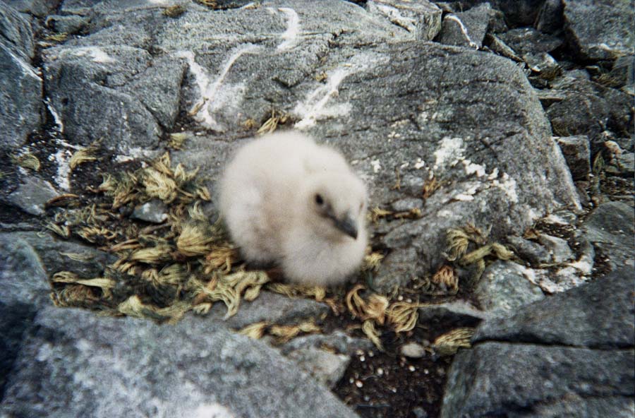 Returned photo 17