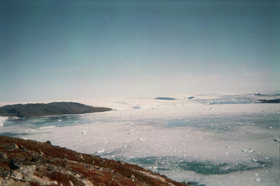 Returned photo 8