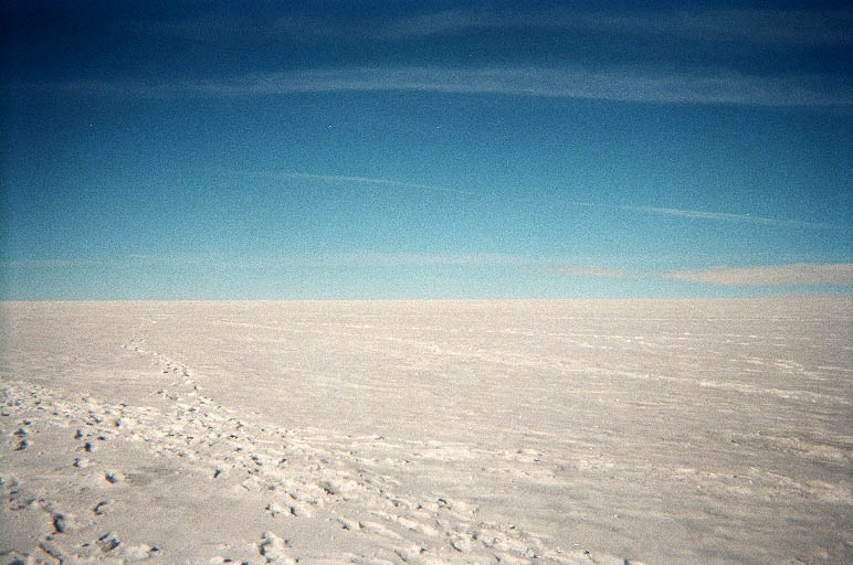 Returned photo 5