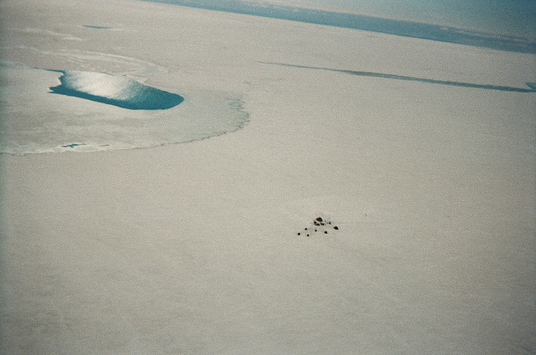 Returned photo 9