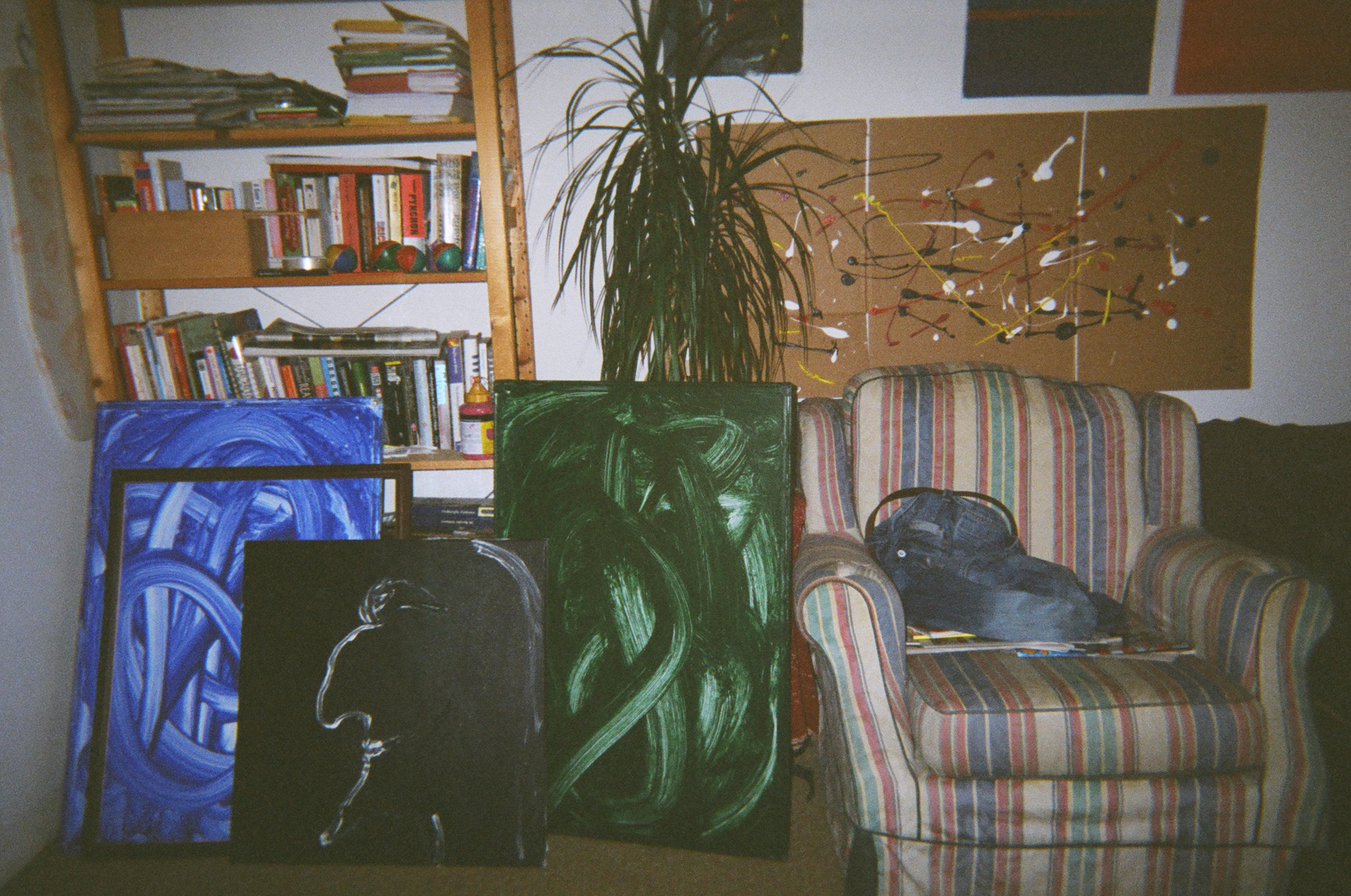 Returned photo 3240001