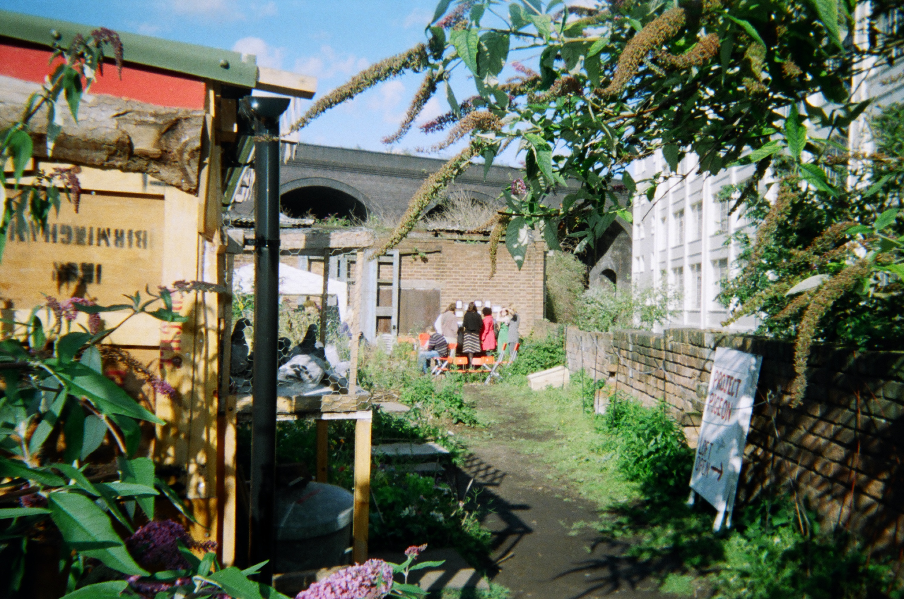 Returned photo 3240019
