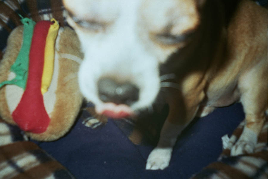 Returned photo 25