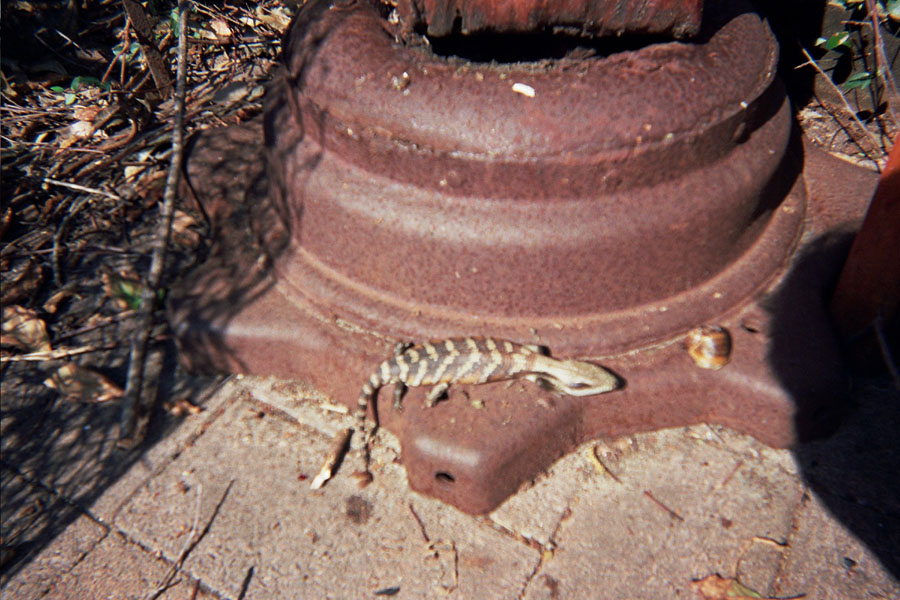 Returned photo 2