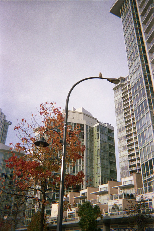 Returned photo 18