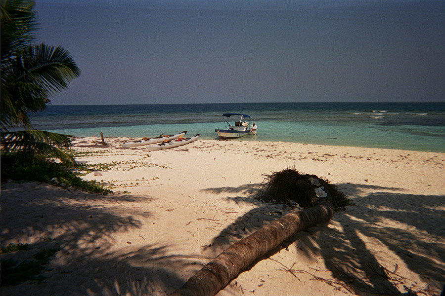 Returned photo 8