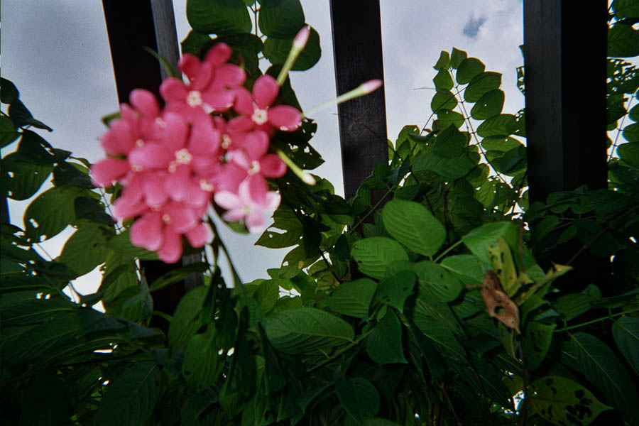 Returned photo 10