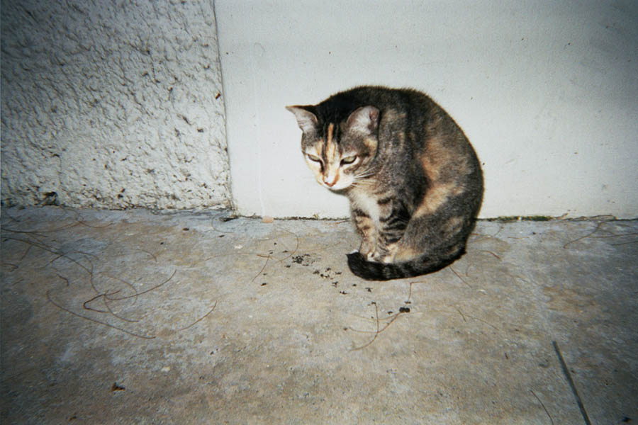Returned photo 13