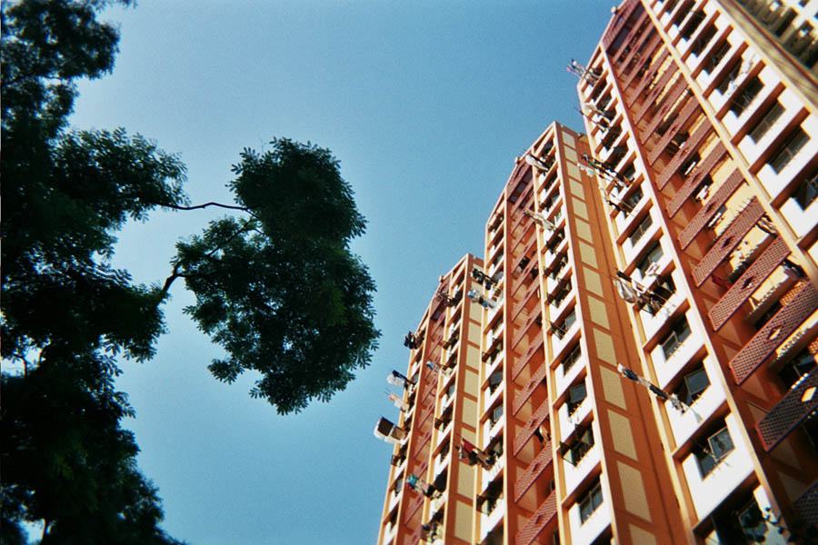 Returned photo 15