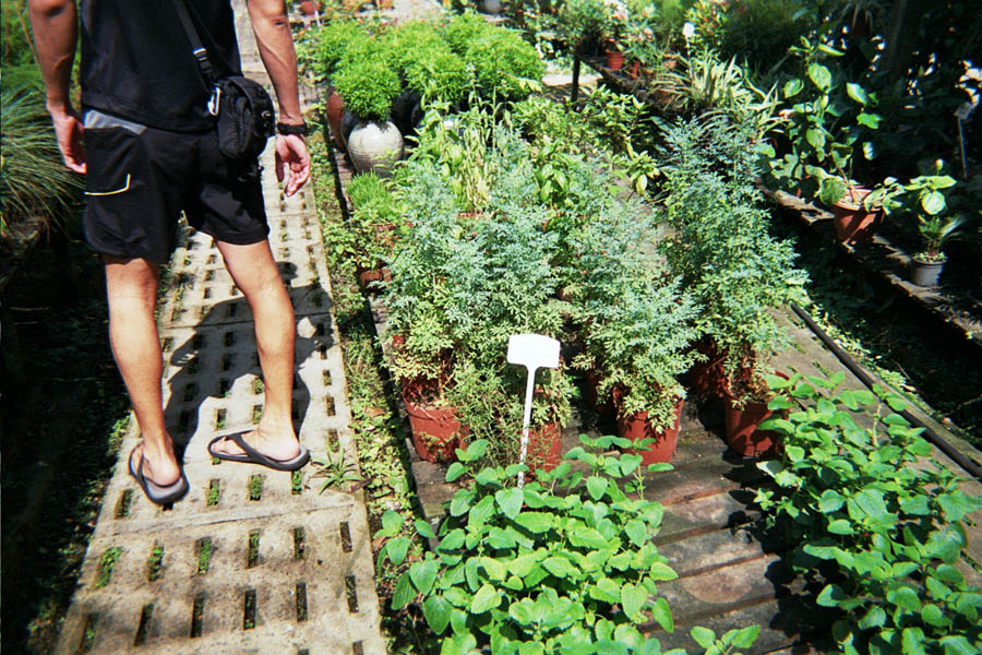 Returned photo 16