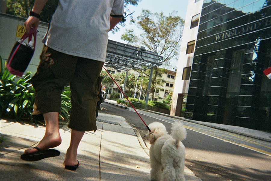 Returned photo 17