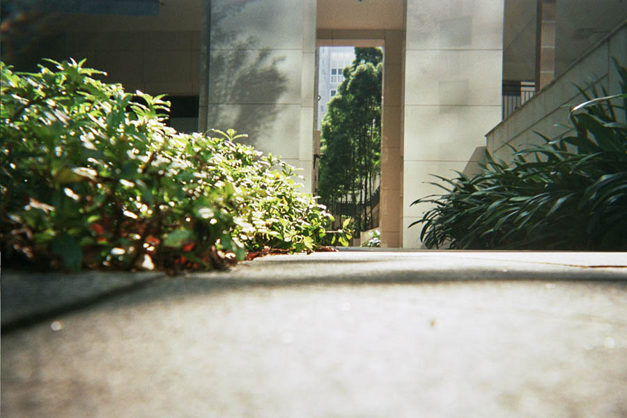 Returned photo 18