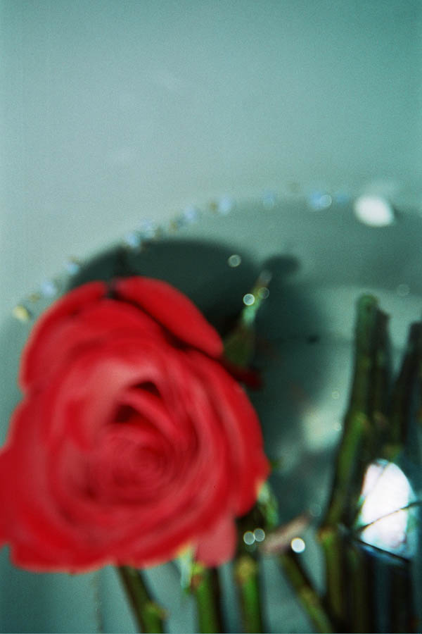 Returned photo 4
