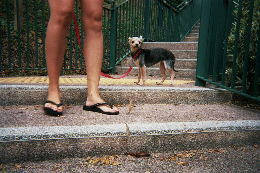 Returned photo 9