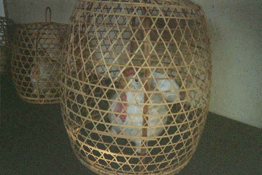 Returned photo 0