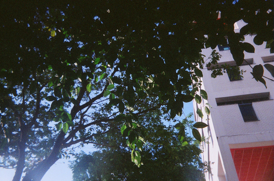 Returned photo 7
