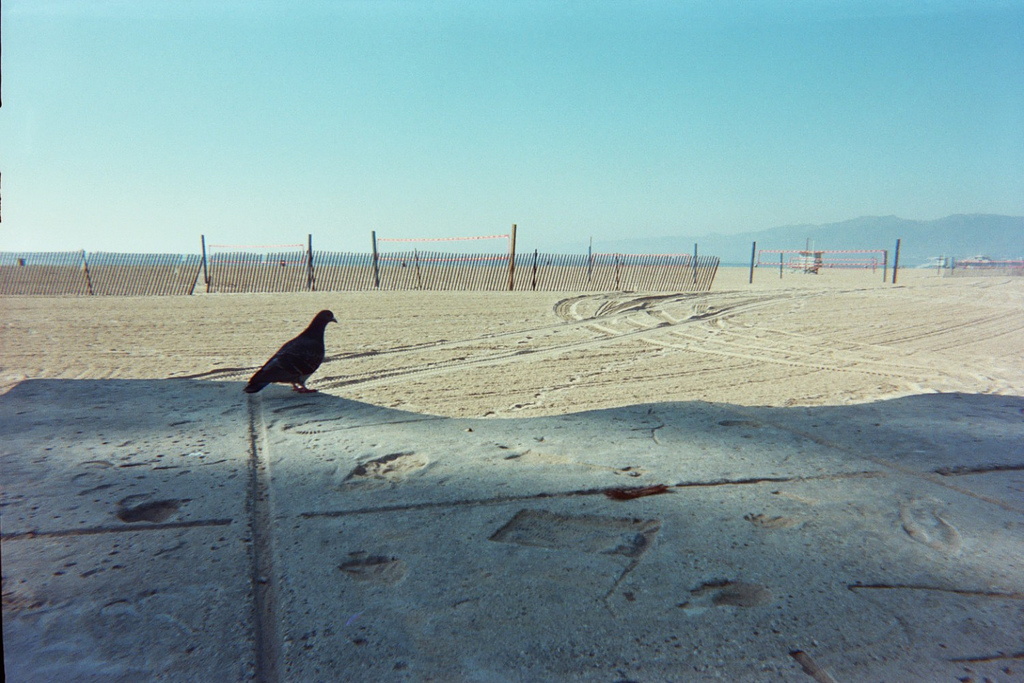 Returned photo 2