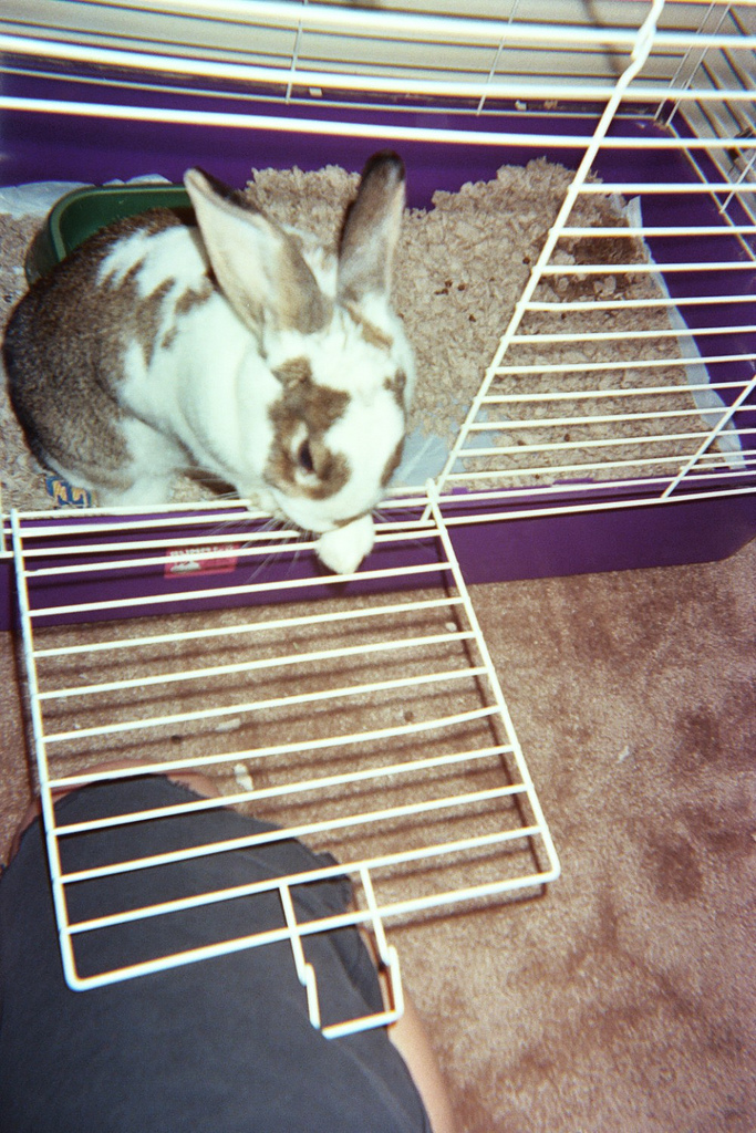 Returned photo 5
