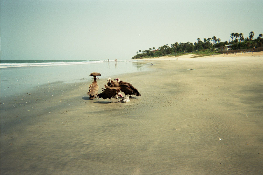 Returned photo 24