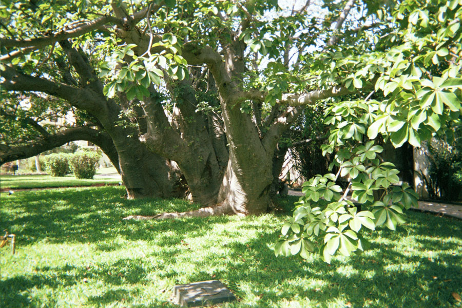 Returned photo 25