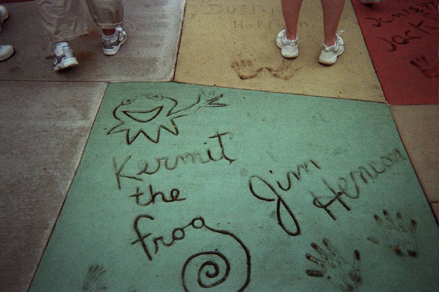 Returned photo 12