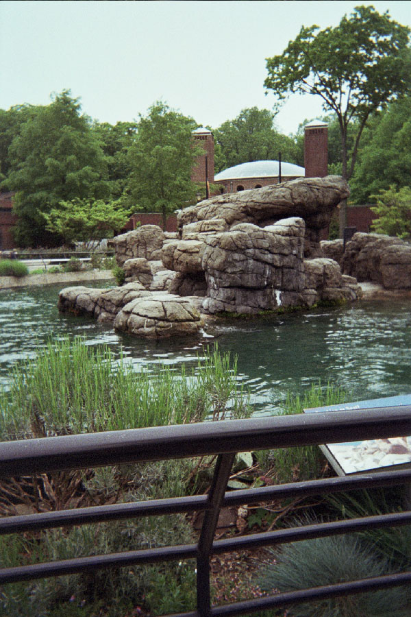 Returned photo 17