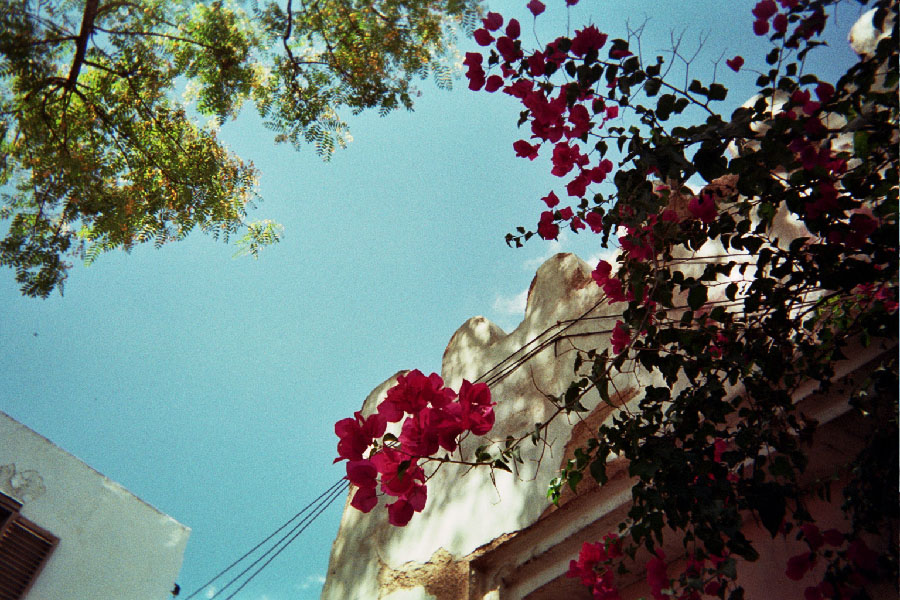 Returned photo 8