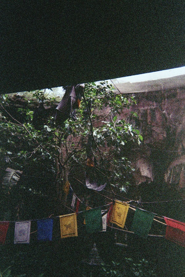 Returned photo 9