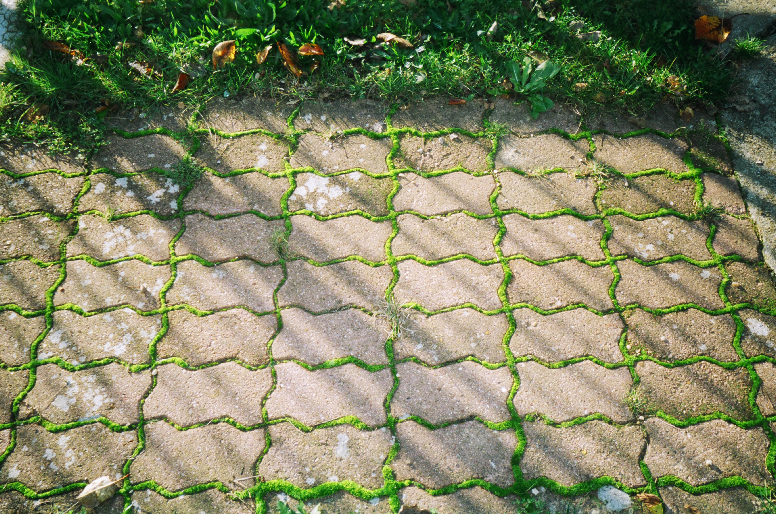 Returned photo 3230004