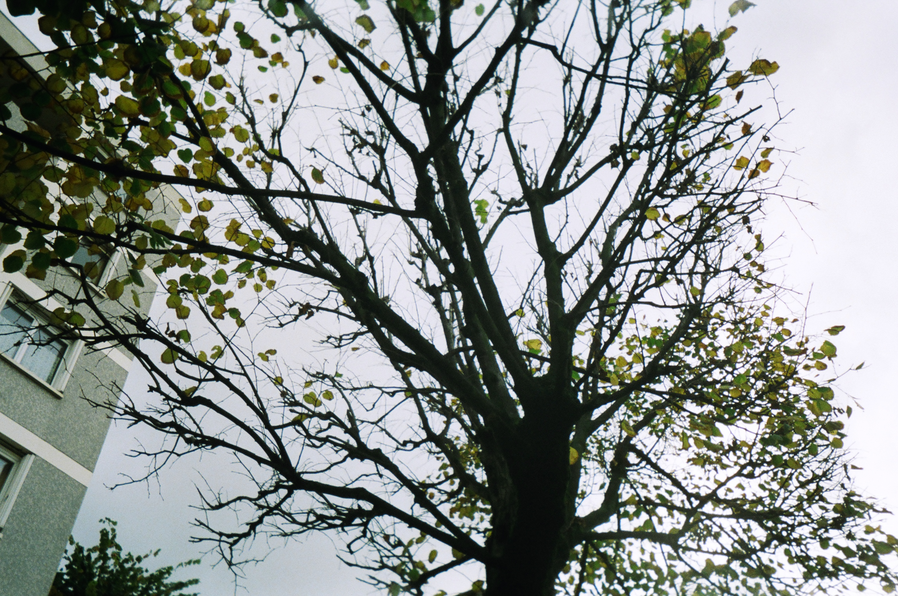 Returned photo 3230018