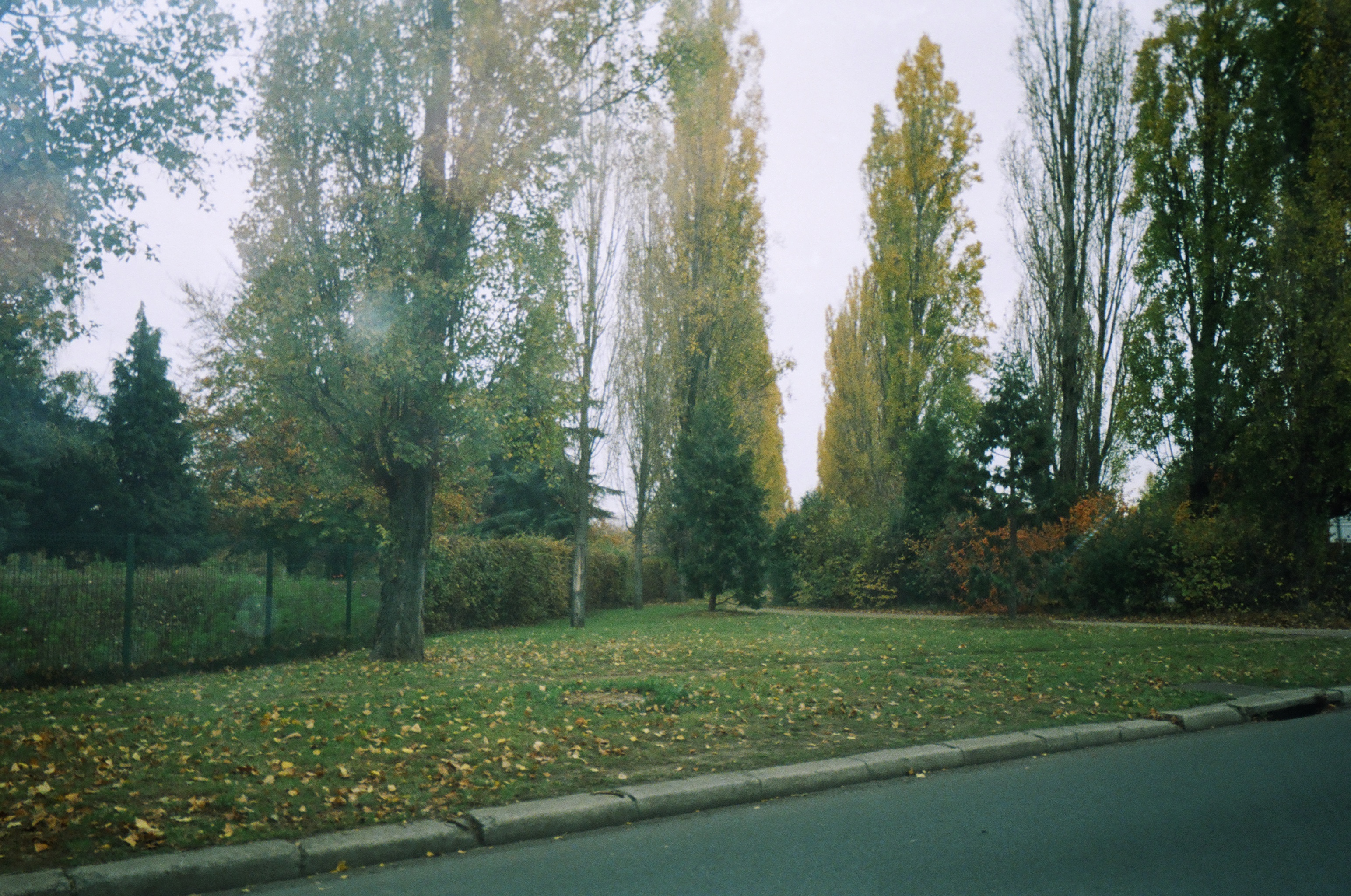 Returned photo 3230026