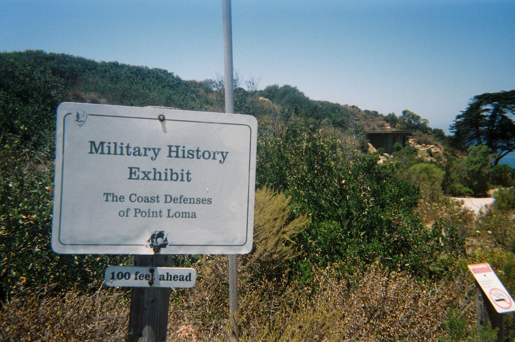 Returned photo 23