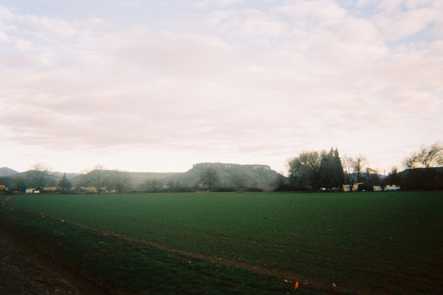 Returned photo 31