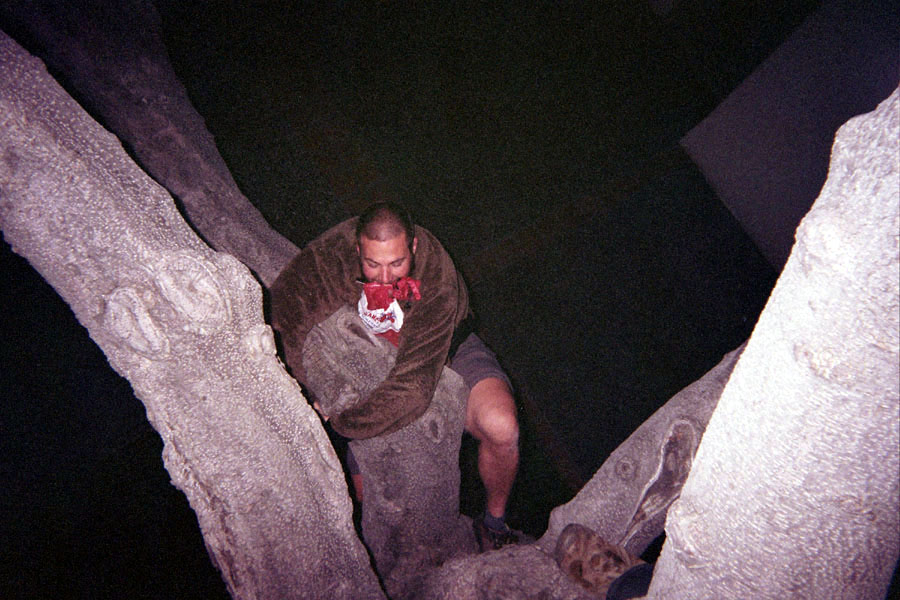 Returned photo 15