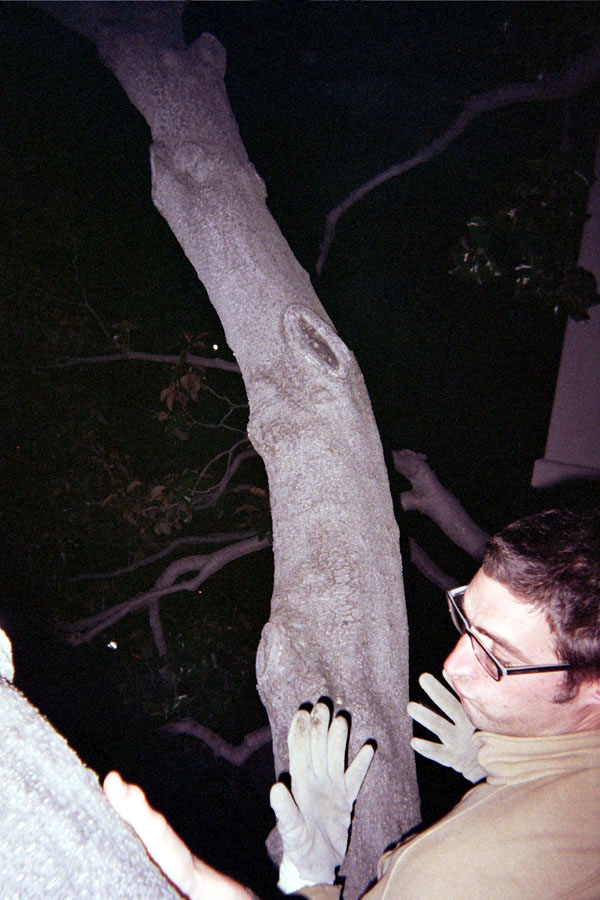 Returned photo 16