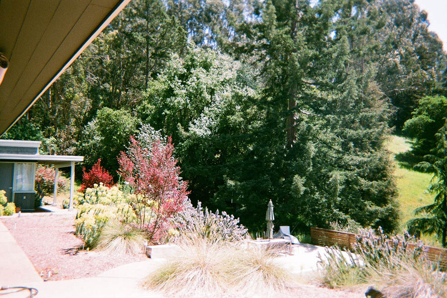 Returned photo 7