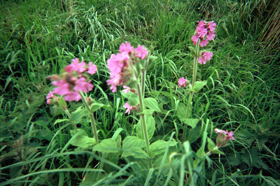 Returned photo 15