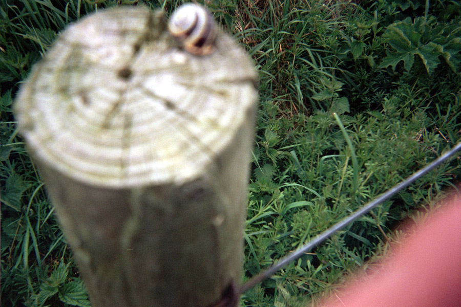 Returned photo 16
