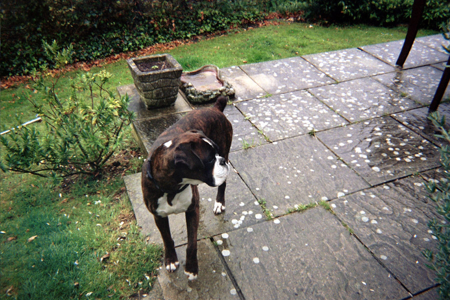 Returned photo 7