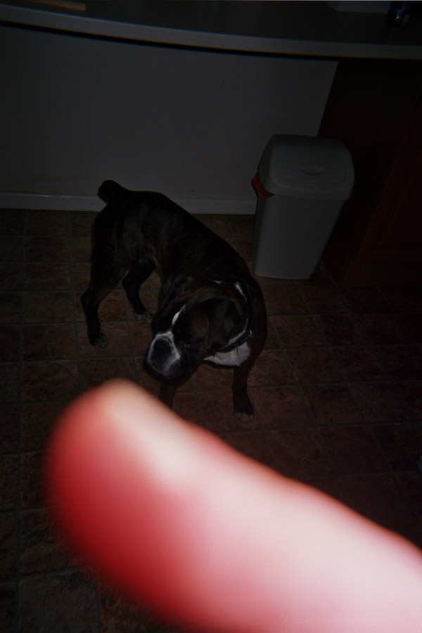 Returned photo 8
